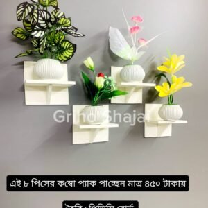 ১২ পিস ওয়াল শেল্ফ এবং ১২ পিস টব সহো ফুল